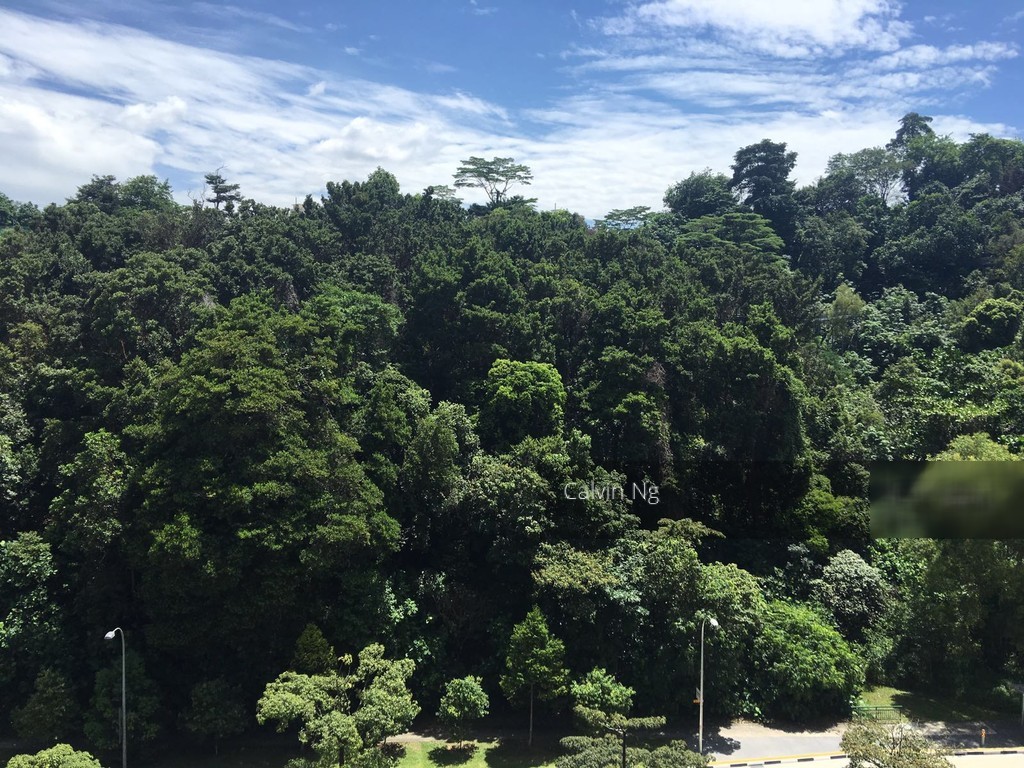 Blk 88 Telok Blangah Heights (Bukit Merah), HDB 5 Rooms #127472772
